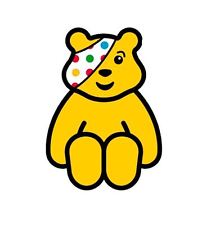 A Big Pudsey Thank You!